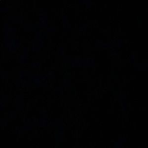 Meet your Posher, Ashlyn